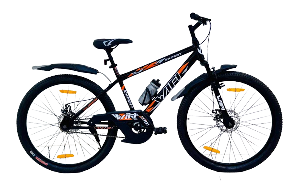 Expert Single Speed Front Suspension Disc Brakes IBC-Mountain Bike